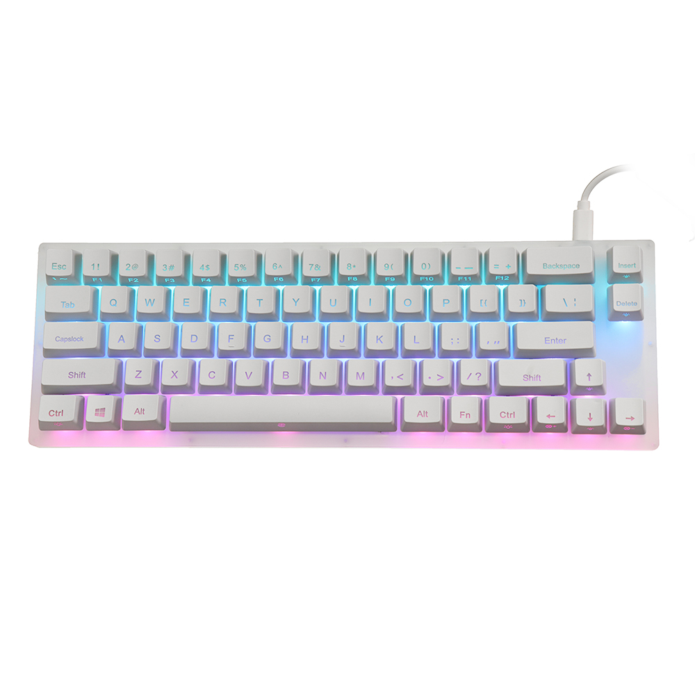 GamaKay-K66-Mechanische-Tastatur-mit-66-Tasten-Gateron-Schalter-austauschbar-Tyce-C-kabelgebunden-RG-1994700-1